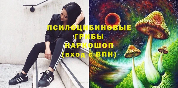 кокаин Новозыбков
