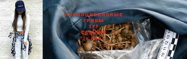 героин Новодвинск
