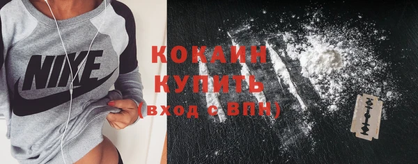 дмт Новокубанск