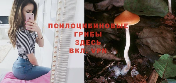 дмт Новокубанск