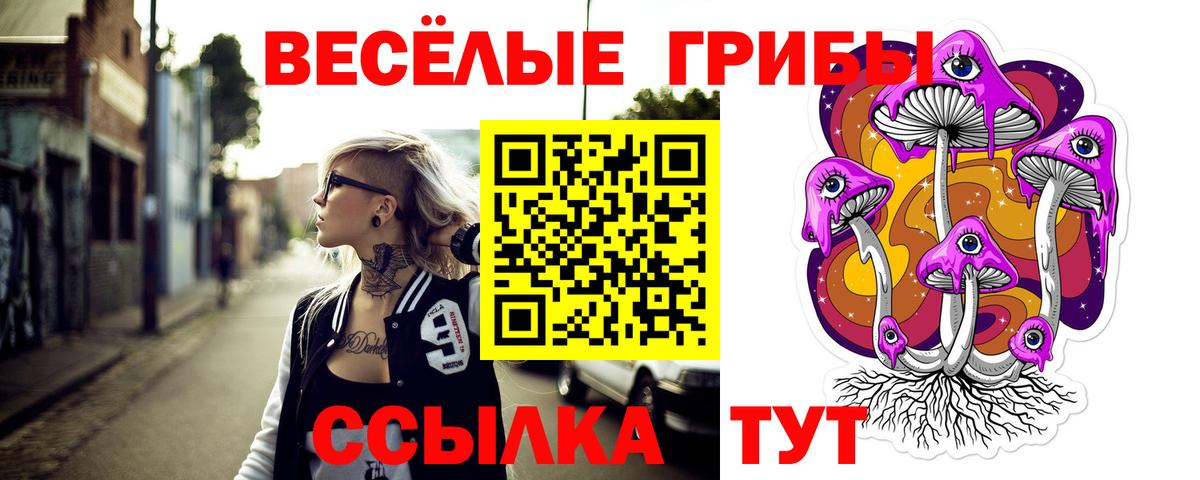 Псилоцибиновые грибы Psilocybe  Вход с VPN  Рославль 